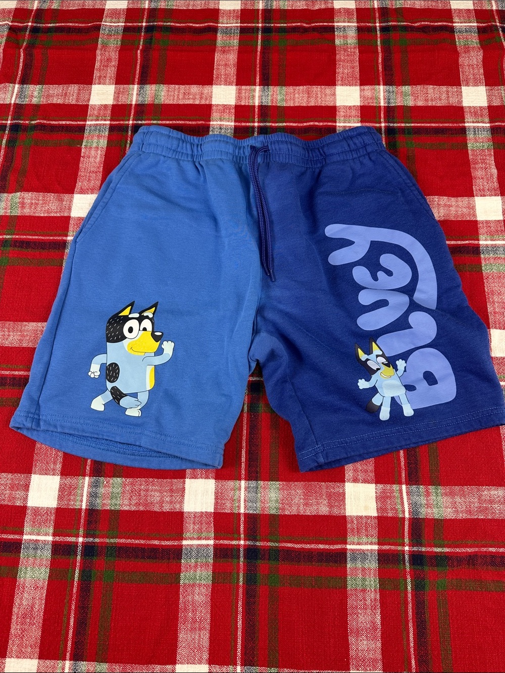 Lucy Boys Two-Tone Blue Athletic Shorts with Character Print